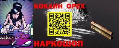 крисы Гусев